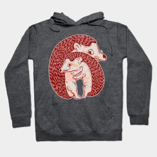 Hedgehogs hugging Hoodie